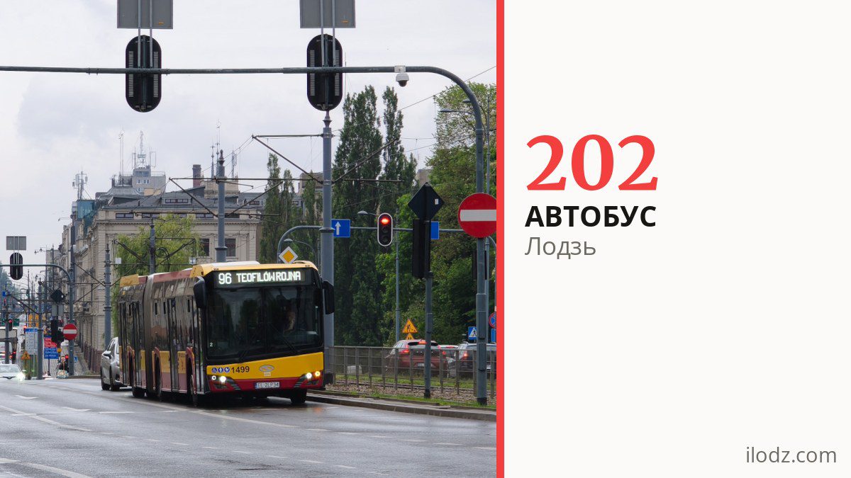 Автобус 202 у Лодзі