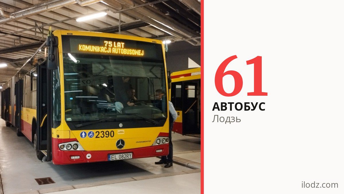 Автобус 61 у Лодзі