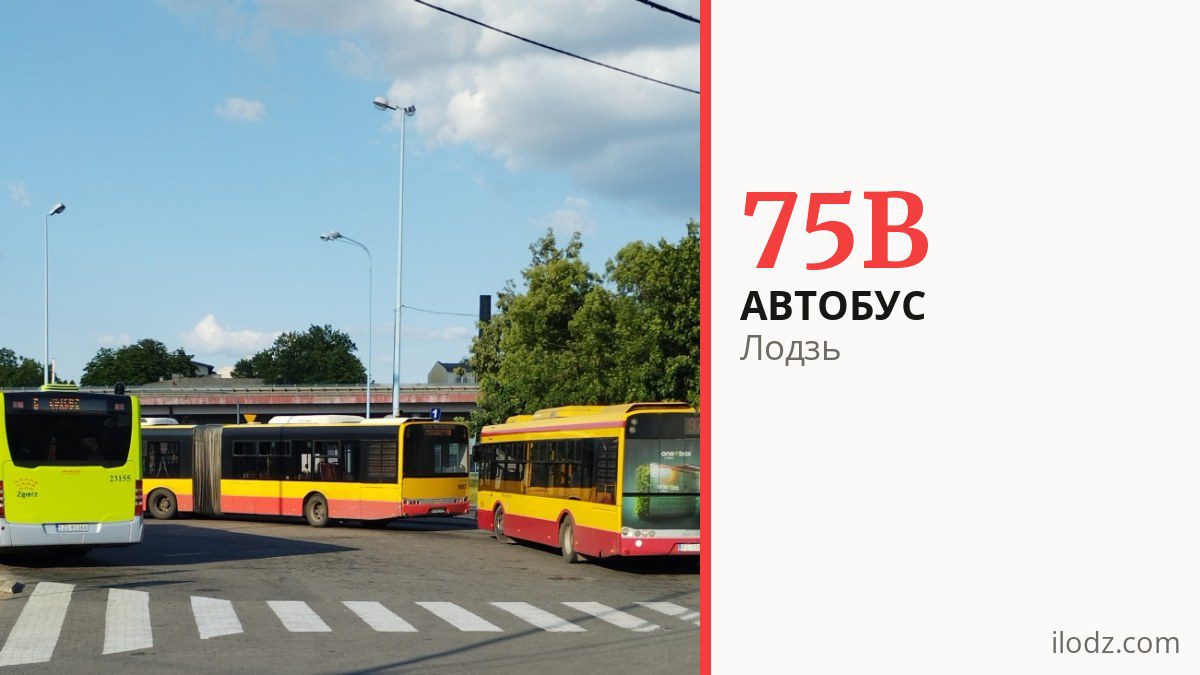 Автобус 75B в Лодзи