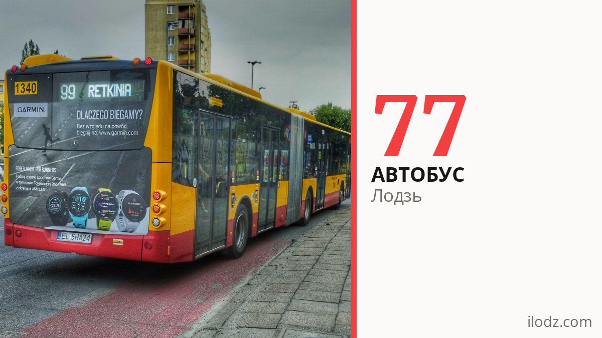 Автобус 77 у Лодзі