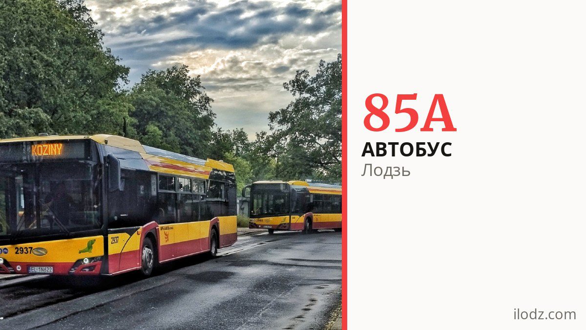 Автобус 85A у Лодзі
