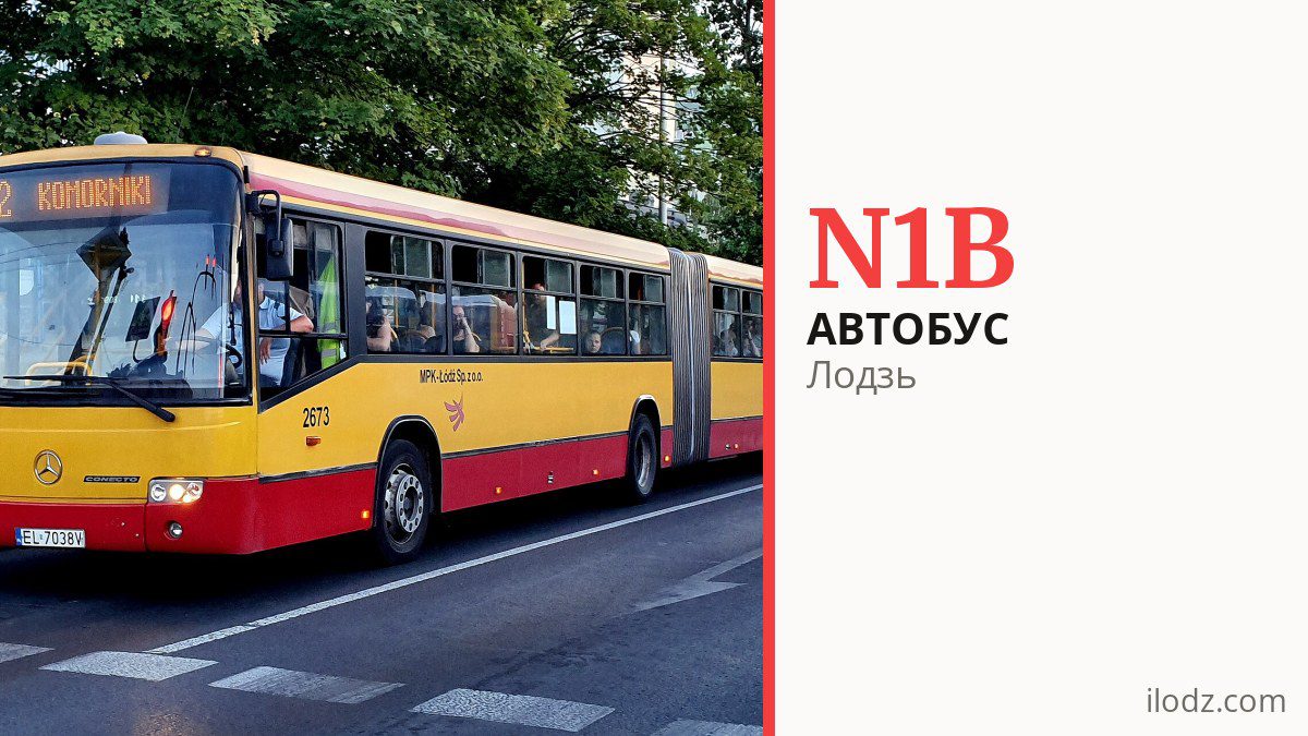 Ночной автобус N1B в Лодзи